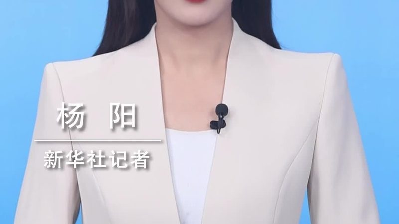 企业级搜索开源方案：揭秘其价值与选型要点